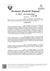 Vista preliminar de documento RDR Nº 0223-2025-GRSM-DRE