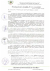 Vista preliminar de documento RA_050_2025_MDI