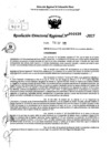 Vista preliminar de documento RDR 0030-2025