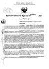 Vista preliminar de documento RDR 0031-2025