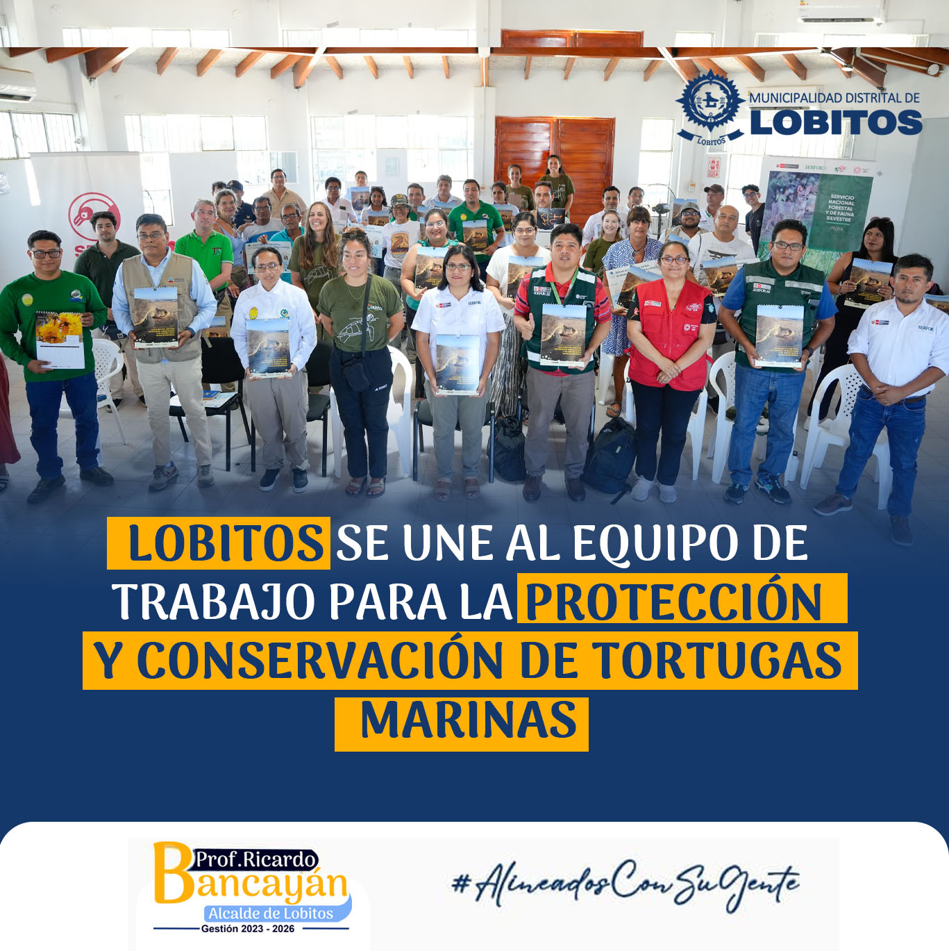 Archivo JPG de proteccion y conservacion de tortugas