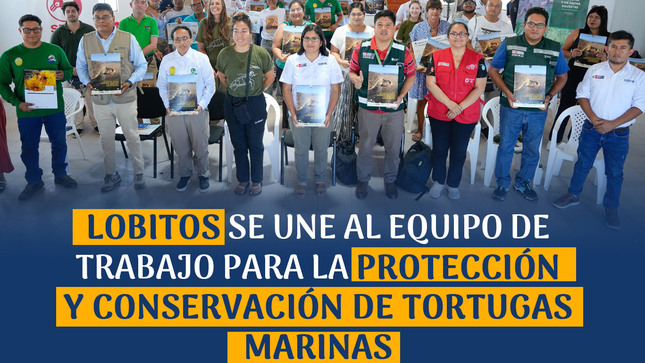 Archivo JPG de proteccion y conservacion de tortugas