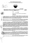 Vista preliminar de documento RDR 0032-2025