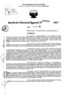 Vista preliminar de documento RDR 0034-2025