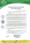 Vista preliminar de documento Resolución de Alcaldía 017-2025