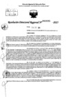 Vista preliminar de documento RDR 0035-2025