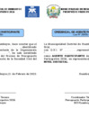 Vista preliminar de documento Ficha de credencial de Agentes participantes para el Presupuesto Participativo 2026