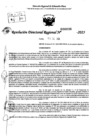 Vista preliminar de documento RDR 0036-2025