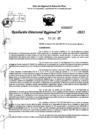 Vista preliminar de documento RDR 0037-2025