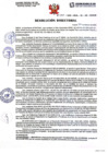 Vista preliminar de documento Resolución Directoral N041 -2025-DRSL-RL-HH-SBS