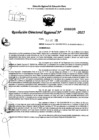 Vista preliminar de documento RDR 0039-2025