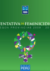 Vista preliminar de documento Tentativa de feminicidio