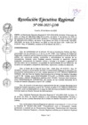 Vista preliminar de documento RER 090-2025-GOB