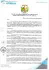 Vista preliminar de documento Resolución Gerencial N.° 0269-2025-MPO-LL