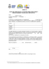 Vista preliminar de documento anexo19
