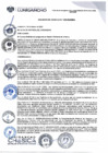 Vista preliminar de documento Acuerdo de Concejo N°009-2025/MDL