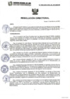 Vista preliminar de documento Resolución Directoral N044 -2025-DRSL-RL-HH-SBS