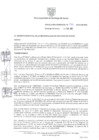 Vista preliminar de documento Resolución Nº 0156-2025-GM-MSS