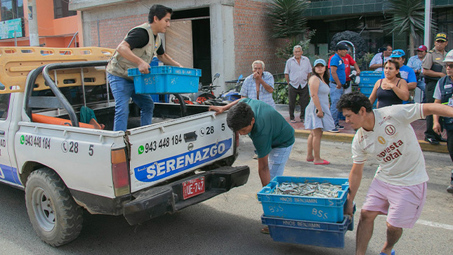 Municipalidad realizó la entrega de pejerrey a comedores de la ciudad de Huarmey