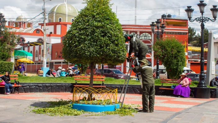 La Municipalidad Provincial de Puno continua el mantenimiento de áreas verdes en parques emblemáticos de la ciudad
