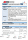 Vista preliminar de documento RD N° 000053-2020-DG-INSNSB Ficha de Procedimiento de RequerimientoFFFF