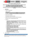 Vista preliminar de documento CAS-016-PROFESIONAL-III-PARA-EQUIPO-ITINERANTE-DE-CONVIVENCIA-ESCOLAR