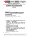 Vista preliminar de documento CAS-019-CIST