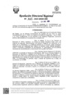 Vista preliminar de documento RDR Nº 0227-2025-GRSM-DRE