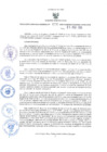 Vista preliminar de documento GRDS.076