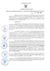 Vista preliminar de documento GRDS.078