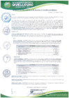 Vista preliminar de documento Resolucion-Gerencia-Municipal-132-2025-GM-MDQ-LC