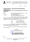Vista preliminar de documento Oficio Múltiple Nº067
