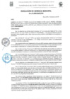 Vista preliminar de documento Resolucion Gerencia N°010-2025