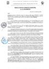 Vista preliminar de documento Resolucion Gerencia N°011-2025