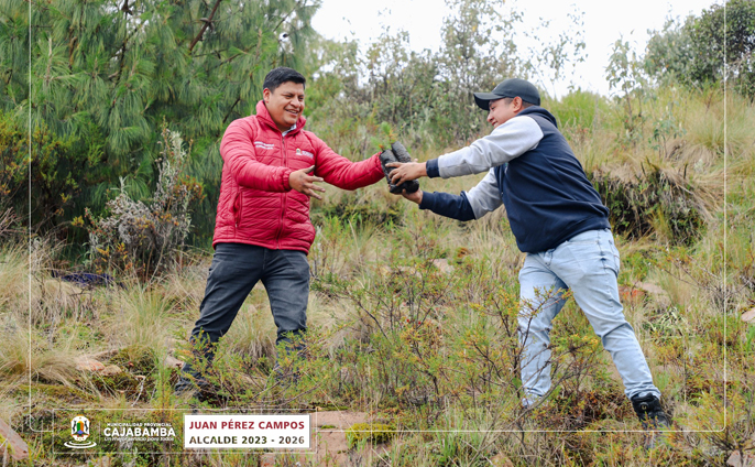 Comprometidos con la forestación y el cuidado del medio ambiente