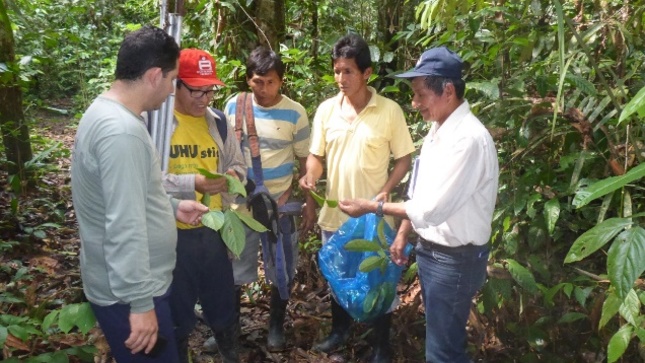 OSINFOR fortalece articulación con entidades de Loreto - Noticias