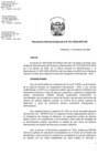 Vista preliminar de documento RDE N° 021-2025_Tercer-Miembro CIE