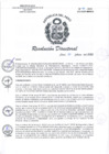 Vista preliminar de documento RD-041-2025-DG-HSR-MINSA