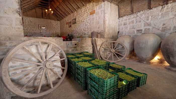Declaran Patrimonio Cultural a los conocimientos, técnicas y valores en la producción del pisco en la costa de Lima, Ica, Arequipa y Tacna