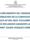 Vista preliminar de documento DECALARATORIA DE GANADOR N° 001