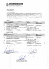 Vista preliminar de documento F-E20250225212155