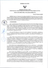 Vista preliminar de documento RD N°033-2025