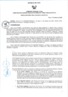 Vista preliminar de documento RD N°038-2025