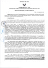 Vista preliminar de documento RD N°041-2025