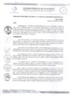 Vista preliminar de documento RDS N 107 AJ