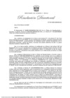 Vista preliminar de documento RD-037