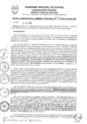 Vista preliminar de documento RGGR0073-2025