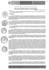 Vista preliminar de documento RGM-109-2025-GM-MPLC