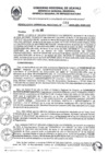 Vista preliminar de documento RGR0093-2025-GRI