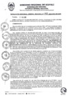 Vista preliminar de documento RGGR0062-2025